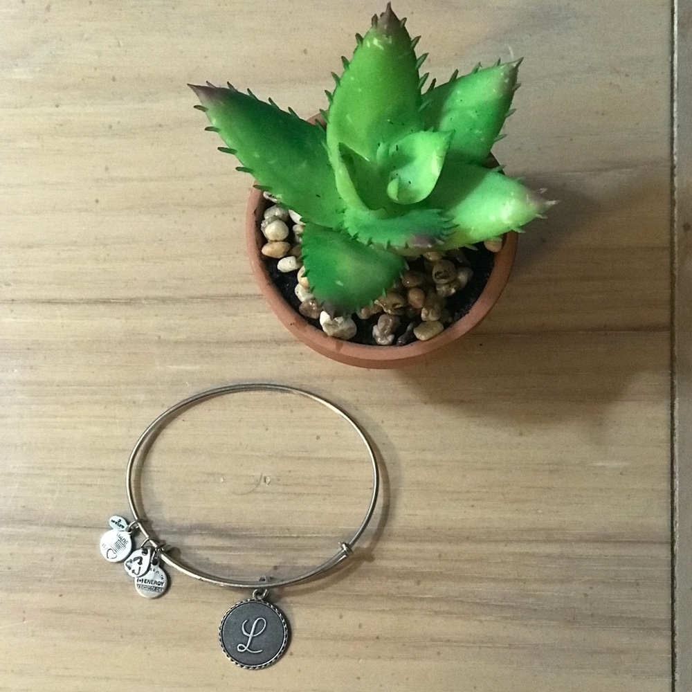 L Alex and Ani signature Bangle